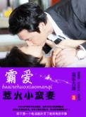 霸爱小悍妻