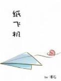 纸飞机的制作过程怎么写