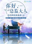 总监大人 浅浅烟花渐迷离