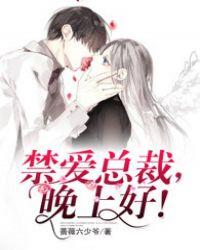 禁爱总裁晚上好姐妹篇
