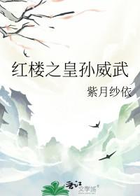 穿越红楼孙绍宗