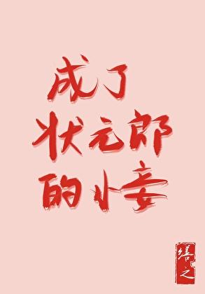成了状元郎的小妾类别穿越作者 司一九