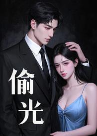 偷光养晦意思