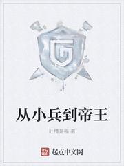 从小兵到帝王家的