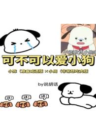 可不可以爱小狗